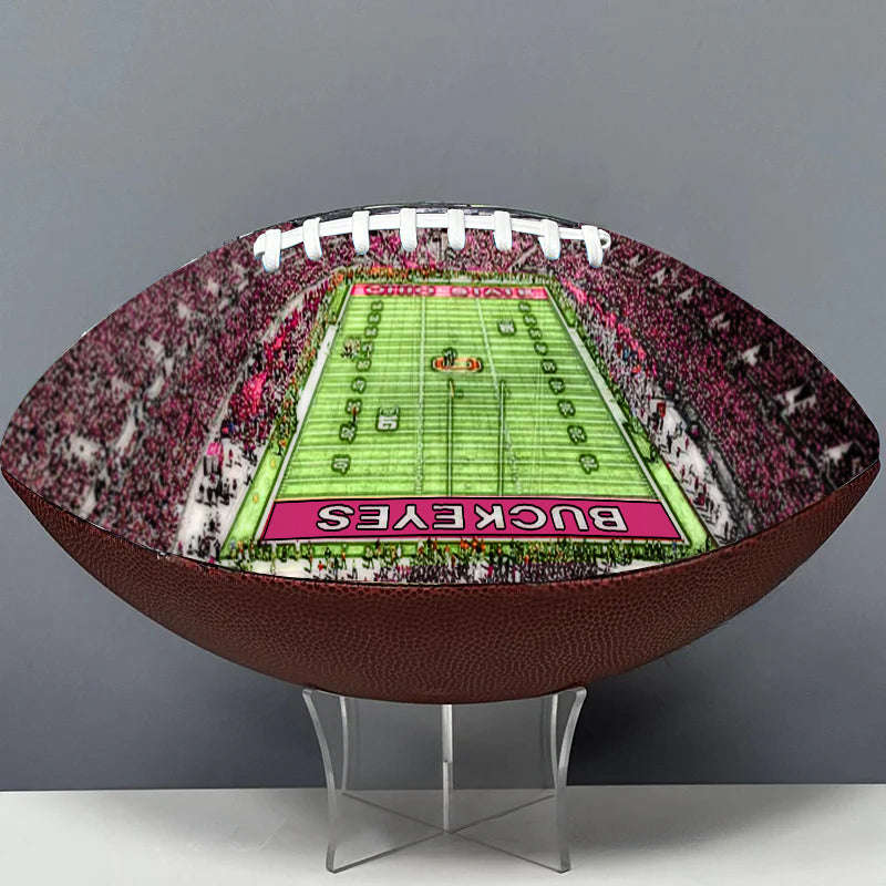 Ohio Stadium Football Painted Series