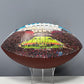 Memorial Coliseum Football Painted Series