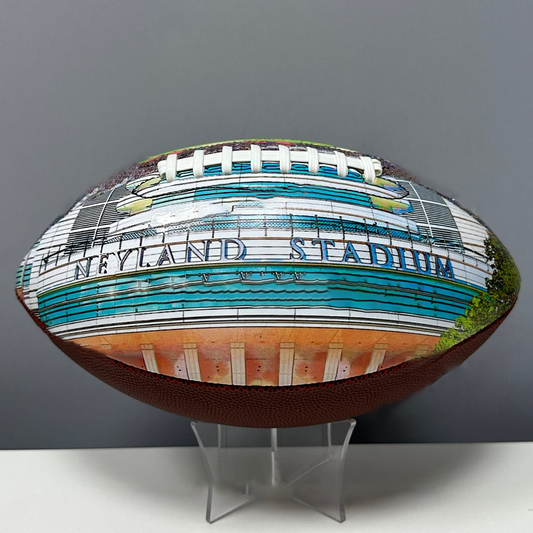 Neyland Stadium Football Painted Series