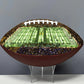 Michigan Stadium Football Painted Series